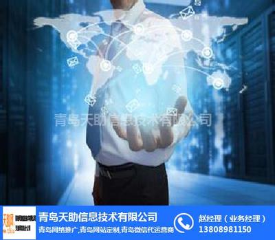 天助资源共享网 信息技术咨询服务的卓越平台